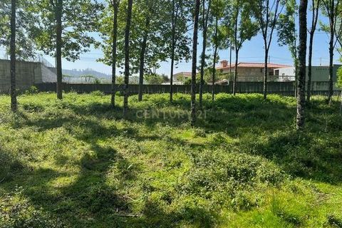 Helårsgrund i Penafiel, Porto, Penafiel - € 199.000 | Ref: C0393-01058 - foto 23