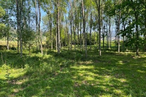Helårsgrund i Penafiel, Porto, Penafiel - € 199.000 | Ref: C0393-01058 - foto 24