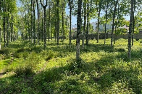 Helårsgrund i Penafiel, Porto, Penafiel - € 199.000 | Ref: C0393-01058 - foto 25