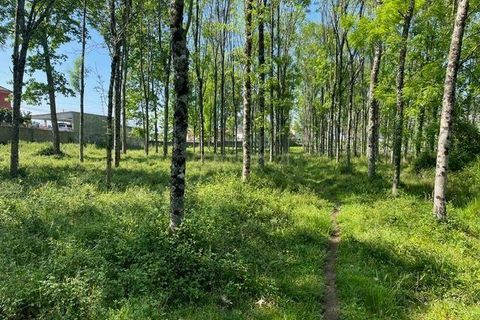 Helårsgrund i Penafiel, Porto, Penafiel - € 199.000 | Ref: C0393-01058 - foto 26
