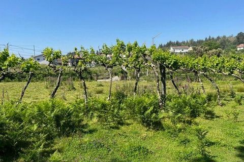Helårsgrund i Penafiel, Porto, Penafiel - € 199.000 | Ref: C0393-01058 - foto 27