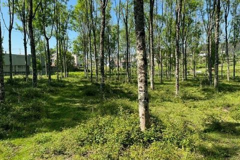 Helårsgrund i Penafiel, Porto, Penafiel - € 199.000 | Ref: C0393-01058 - foto 28