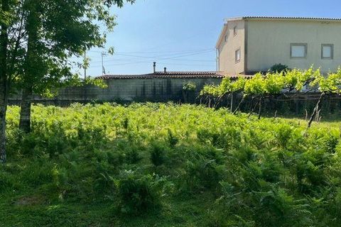 Helårsgrund i Penafiel, Porto, Penafiel - € 199.000 | Ref: C0393-01058 - foto 29