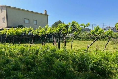 Helårsgrund i Penafiel, Porto, Penafiel - € 199.000 | Ref: C0393-01058 - foto 30