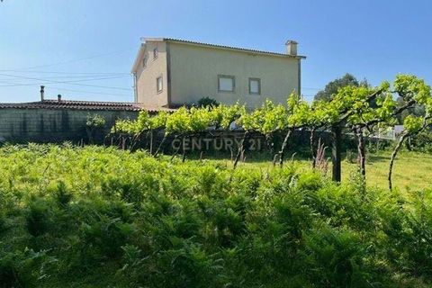 Helårsgrund i Penafiel, Porto, Penafiel - € 199.000 | Ref: C0393-01058 - foto 31