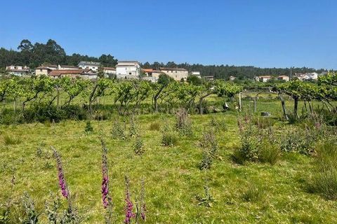 Helårsgrund i Penafiel, Porto, Penafiel - € 199.000 | Ref: C0393-01058 - foto 33