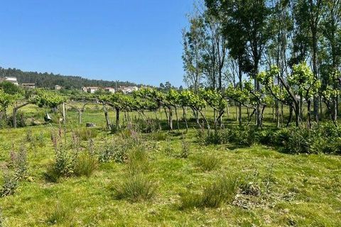 Helårsgrund i Penafiel, Porto, Penafiel - € 199.000 | Ref: C0393-01058 - foto 34