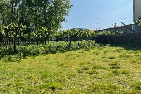 Helårsgrund i Penafiel, Porto, Penafiel - € 199.000 | Ref: C0393-01058 - foto 35