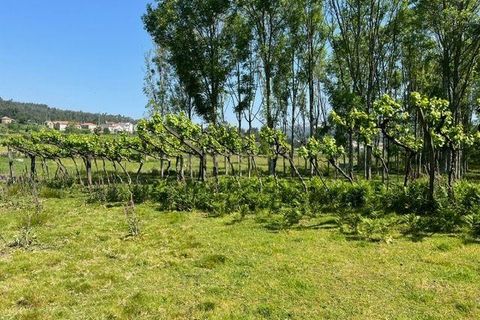 Helårsgrund i Penafiel, Porto, Penafiel - € 199.000 | Ref: C0393-01058 - foto 37