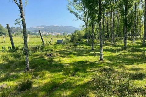 Helårsgrund i Penafiel, Porto, Penafiel - € 199.000 | Ref: C0393-01058 - foto 38