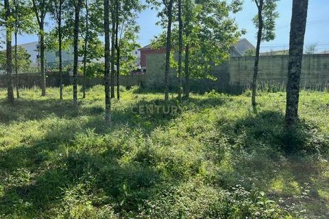 Helårsgrund i Penafiel, Porto, Penafiel - € 199.000 | Ref: C0393-01058 - foto 39