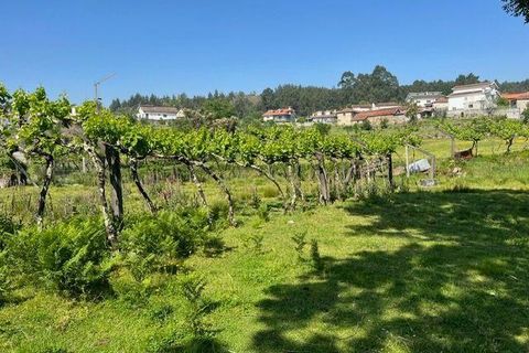 Helårsgrund i Penafiel, Porto, Penafiel - € 199.000 | Ref: C0393-01058 - foto 41