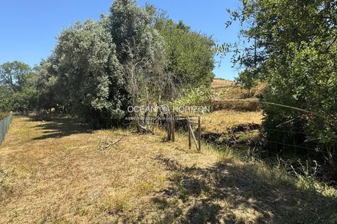 Helårsgrund i Odemira, Beja, Odemira - € 129.000 | Ref: OH/2439 - foto 13