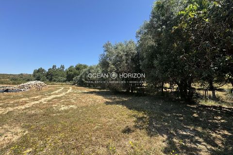 Helårsgrund i Odemira, Beja, Odemira - € 129.000 | Ref: OH/2439 - foto 22