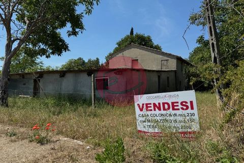 Landejendom i Santarcangelo Di Romagna, Rimini, Santarcangelo Di Romagna - € 248.000 | Ref: S-C3-011 - foto 6