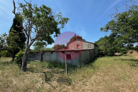 Landejendom i Santarcangelo Di Romagna, Rimini, Santarcangelo Di Romagna - € 248.000 | Ref: S-C3-011 - foto 9