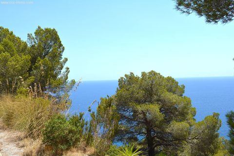 Helårsgrund i Canyamel, Mallorca, Canyamel - € 150.000 | Ref: G-0034 - foto 3
