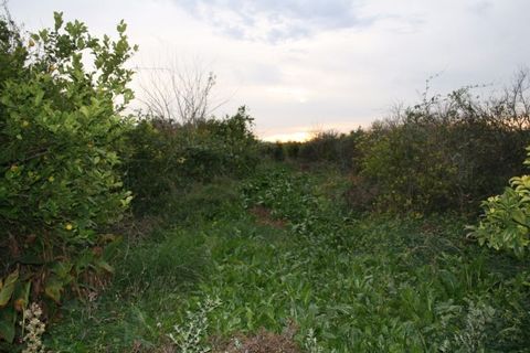 Helårsgrund i Los Ramos, Murcia, Los Ramos - € 99.000 | Ref: 3265-00014/3737 - foto 1