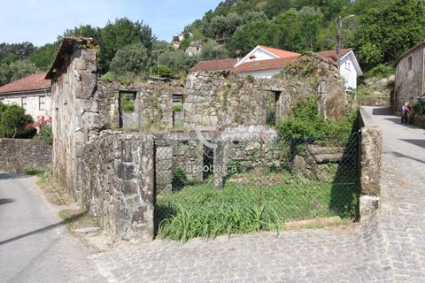 Landejendom i Ponte de Lima, Viana do Castelo, Ponte de Lima - € 65.000 | Ref: AV5997 - foto 2