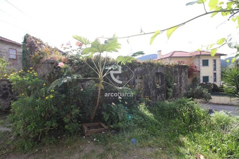 Landejendom i Ponte de Lima, Viana do Castelo, Ponte de Lima - € 65.000 | Ref: AV5997 - foto 8