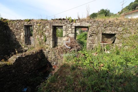 Landejendom i Ponte de Lima, Viana do Castelo, Ponte de Lima - € 65.000 | Ref: AV5997 - foto 12