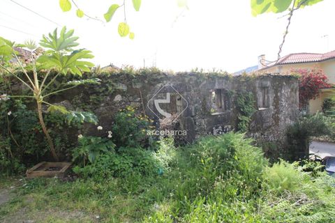 Landejendom i Ponte de Lima, Viana do Castelo, Ponte de Lima - € 65.000 | Ref: AV5997 - foto 14