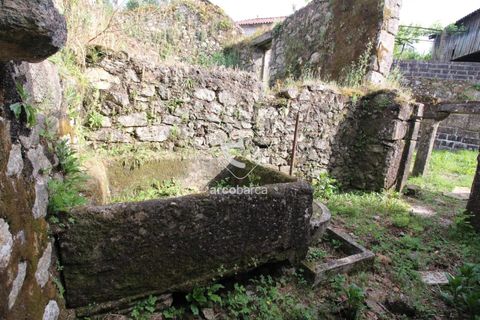 Landejendom i Ponte de Lima, Viana do Castelo, Ponte de Lima - € 65.000 | Ref: AV5997 - foto 28