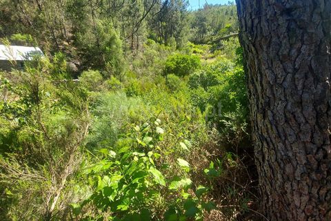 Tomt i Fundao, Castelo Branco, Fundao - € 59 500 | Ref: 255240115 - foto 2