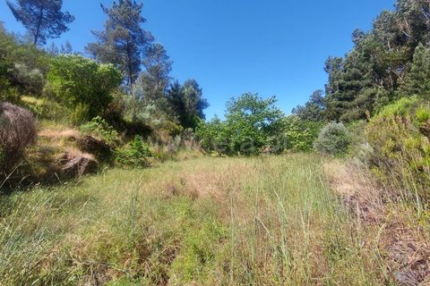Tomt i Fundao, Castelo Branco, Fundao - € 59 500 | Ref: 255240115 - foto 3