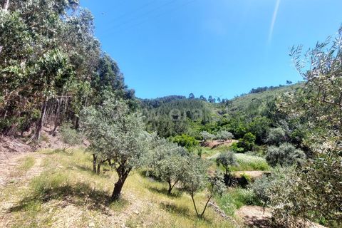 Tomt i Fundao, Castelo Branco, Fundao - € 59 500 | Ref: 255240115 - foto 4