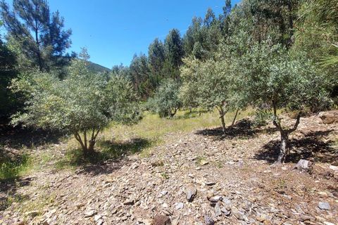 Tomt i Fundao, Castelo Branco, Fundao - € 59 500 | Ref: 255240115 - foto 6