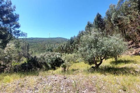 Tomt i Fundao, Castelo Branco, Fundao - € 59 500 | Ref: 255240115 - foto 8