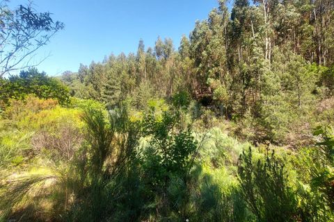 Tomt i Fundao, Castelo Branco, Fundao - € 59 500 | Ref: 255240115 - foto 9