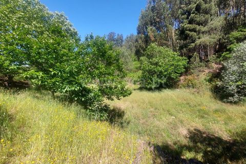 Tomt i Fundao, Castelo Branco, Fundao - € 59 500 | Ref: 255240115 - foto 10