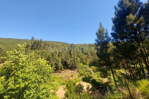 Tomt i Fundao, Castelo Branco, Fundao - € 59 500 | Ref: 255240115 - foto 12