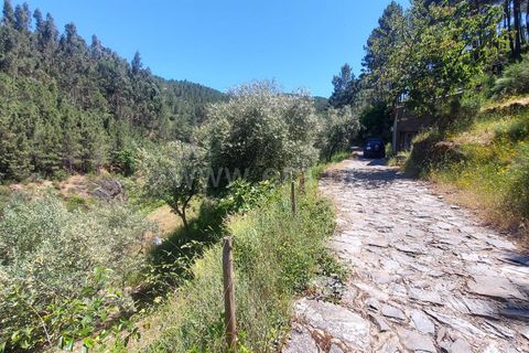 Terra a Fundao, Castelo Branco, Fundao - € 19.000 | Ref: 255240116 - foto 12