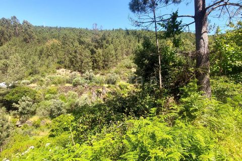 Terra a Fundao, Castelo Branco, Fundao - € 19.000 | Ref: 255240116 - foto 13