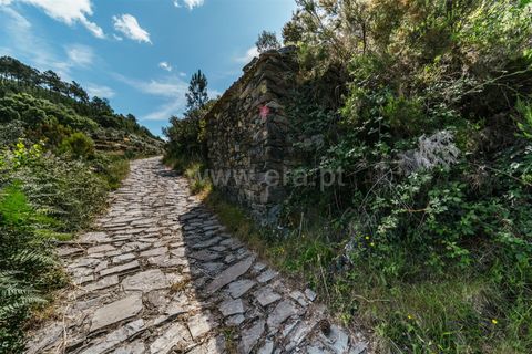Terra a Fundao, Castelo Branco, Fundao - € 19.000 | Ref: 255240116 - foto 2