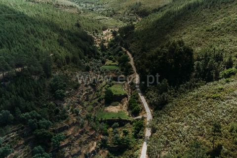 Terra a Fundao, Castelo Branco, Fundao - € 19.000 | Ref: 255240116 - foto 3