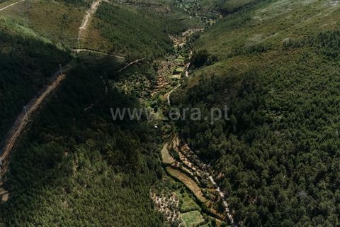 Terra a Fundao, Castelo Branco, Fundao - € 19.000 | Ref: 255240116 - foto 4