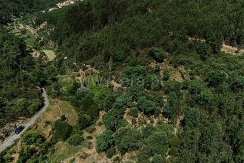 Terra a Fundao, Castelo Branco, Fundao - € 19.000 | Ref: 255240116 - foto 5