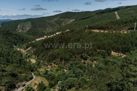 Terra a Fundao, Castelo Branco, Fundao - € 19.000 | Ref: 255240116 - foto 6