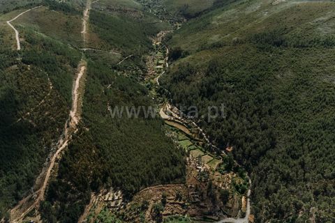 Terra a Fundao, Castelo Branco, Fundao - € 19.000 | Ref: 255240116 - foto 7