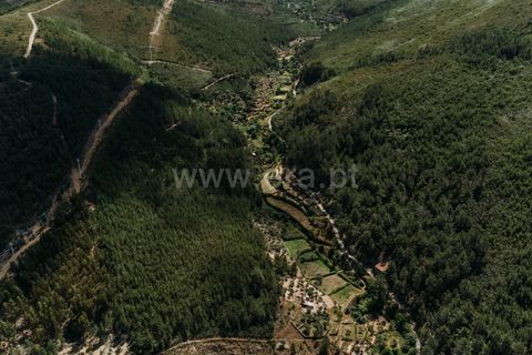 Terra a Fundao, Castelo Branco, Fundao - € 19.000 | Ref: 255240116 - foto 8