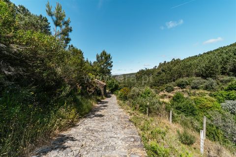 Terra a Fundao, Castelo Branco, Fundao - € 19.000 | Ref: 255240116 - foto 9