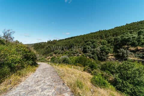 Terra a Fundao, Castelo Branco, Fundao - € 19.000 | Ref: 255240116 - foto 10