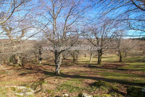 Farm hus i Arcidosso, Grosseto, Arcidosso - € 1.500.000 | Ref: CA604 - foto 4