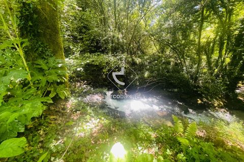 Byhus i Ponte de Lima, Viana do Castelo, Ponte de Lima - € 670.000 | Ref: AV5911 - foto 29