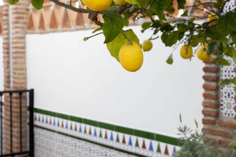 Villa a Mijas, Malaga, Mijas - € 995.000 | Ref: SPCRM1313 - foto 24