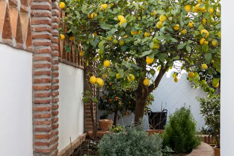 Villa a Mijas, Malaga, Mijas - € 995.000 | Ref: SPCRM1313 - foto 49